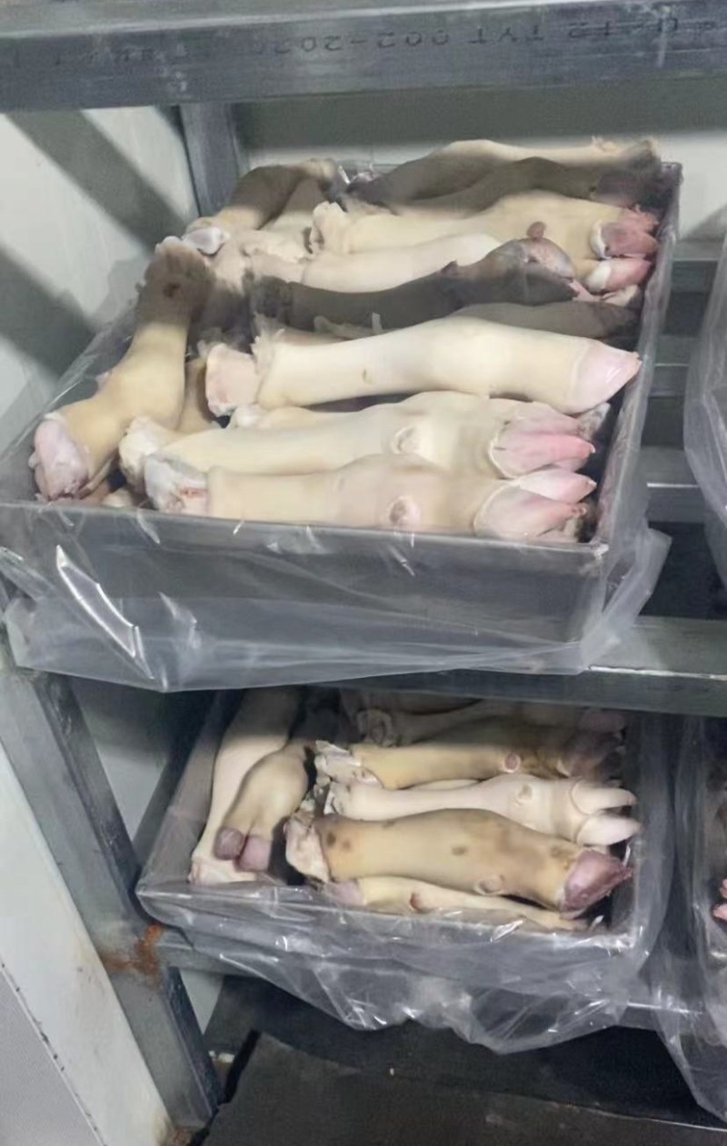 精品小牛蹄【一件代发】品质保证诚信经营始终如一欢迎联系