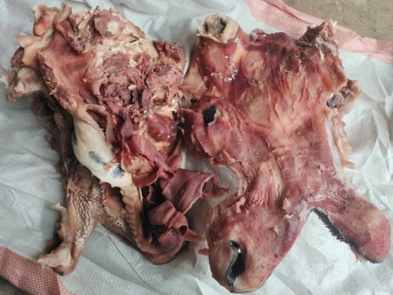 去皮牛头肉带皮牛头肉【一件代发】量大欢迎咨询老板
