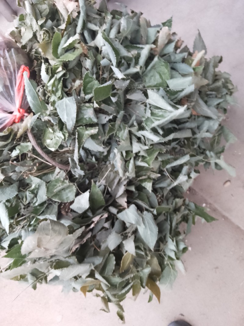 陕西汉中药材淫羊霍大量有货，质量好，颜色好，货源充足，