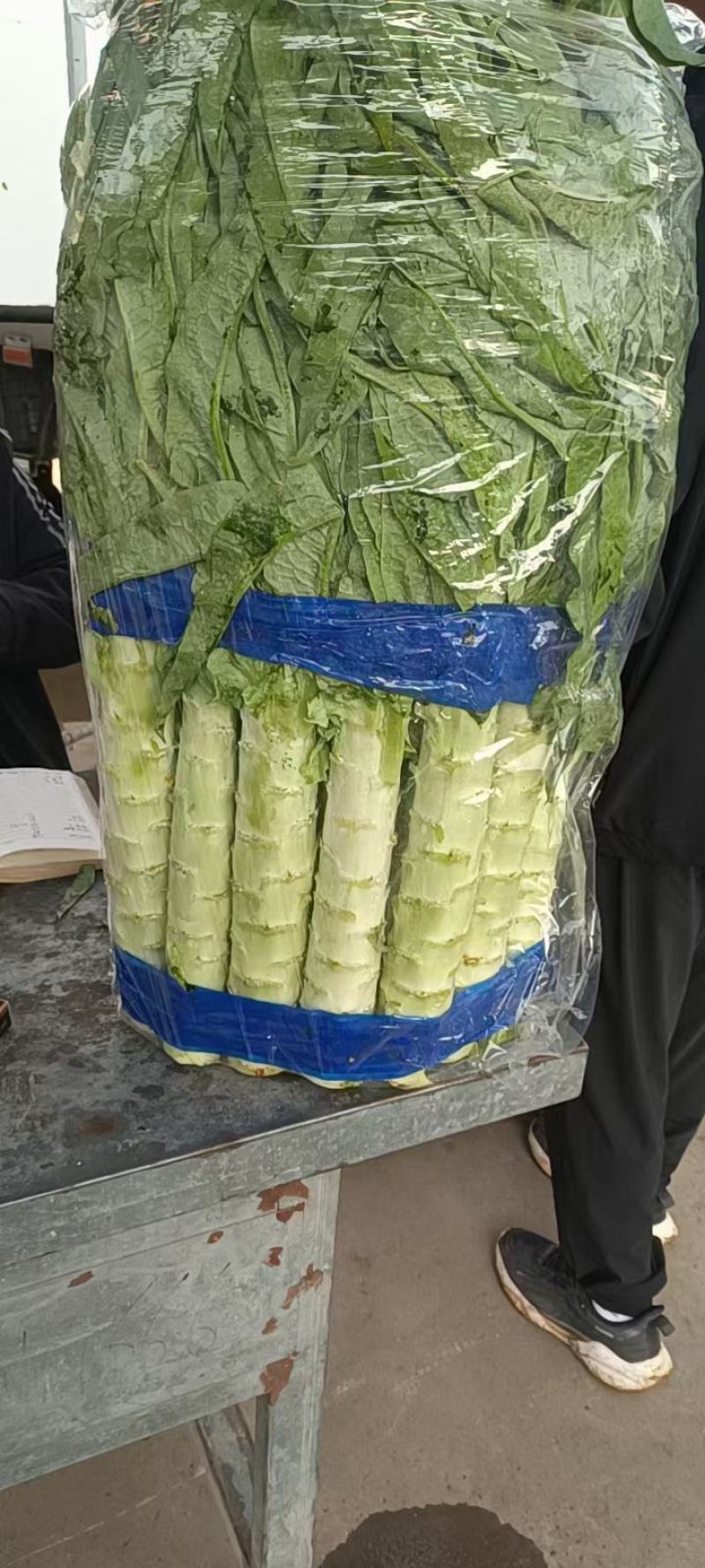 精品油麦菜，各种蔬菜大量现货，有需要的联系我