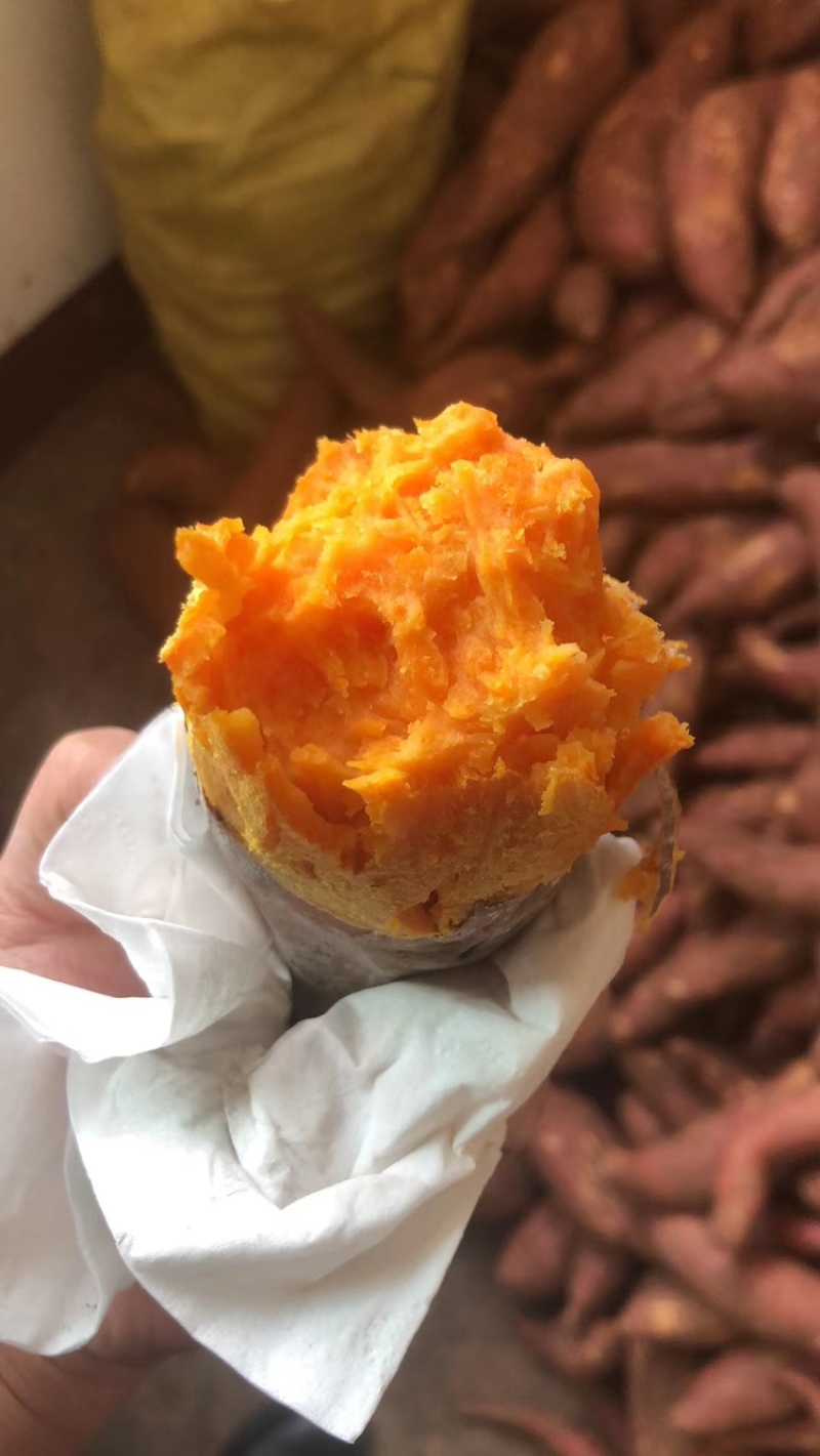 西瓜红薯沙地六鳌蜜薯烤红薯大量有货可持续12月底