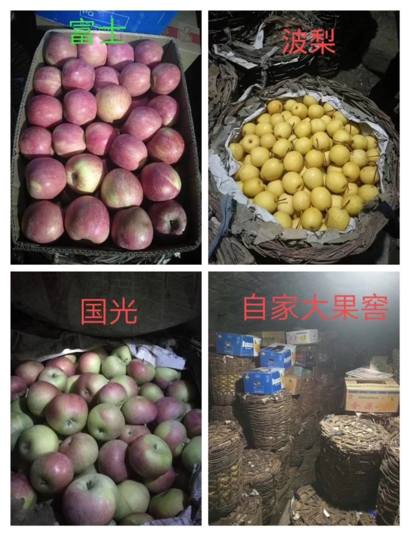 青龙山地苹果梨