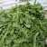 荠荠菜荠菜加工厂电商平台发货每天供应1万斤