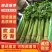 《精选》山东聊城芹菜，全国发货，色泽鲜艳，坏烂包赔。