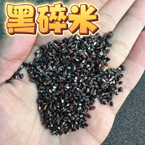 黑碎米现货供应黑米碎量大优惠食品加工酿酒黑米碎