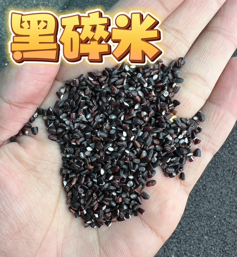 黑碎米现货供应黑米碎量大优惠食品加工酿酒黑米碎