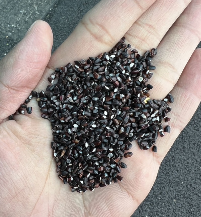 黑碎米现货供应黑米碎量大优惠食品加工酿酒黑米碎