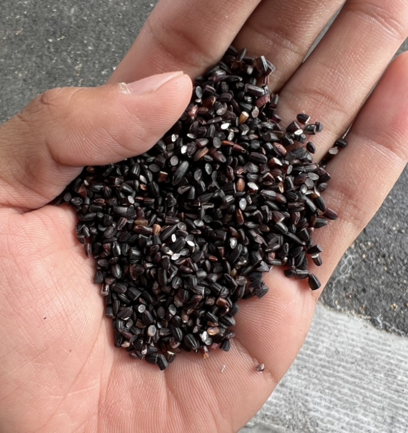 黑碎米现货供应黑米碎量大优惠食品加工酿酒黑米碎