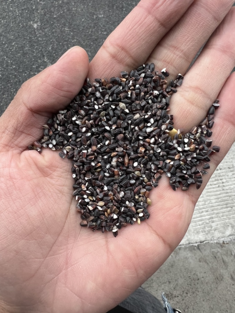 黑碎米现货供应黑米碎量大优惠食品加工酿酒黑米碎