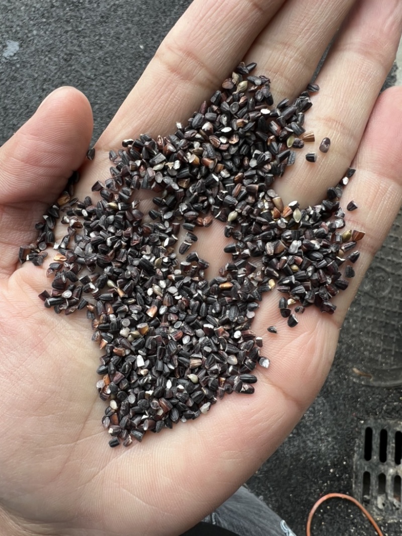 黑碎米现货供应黑米碎量大优惠食品加工酿酒黑米碎