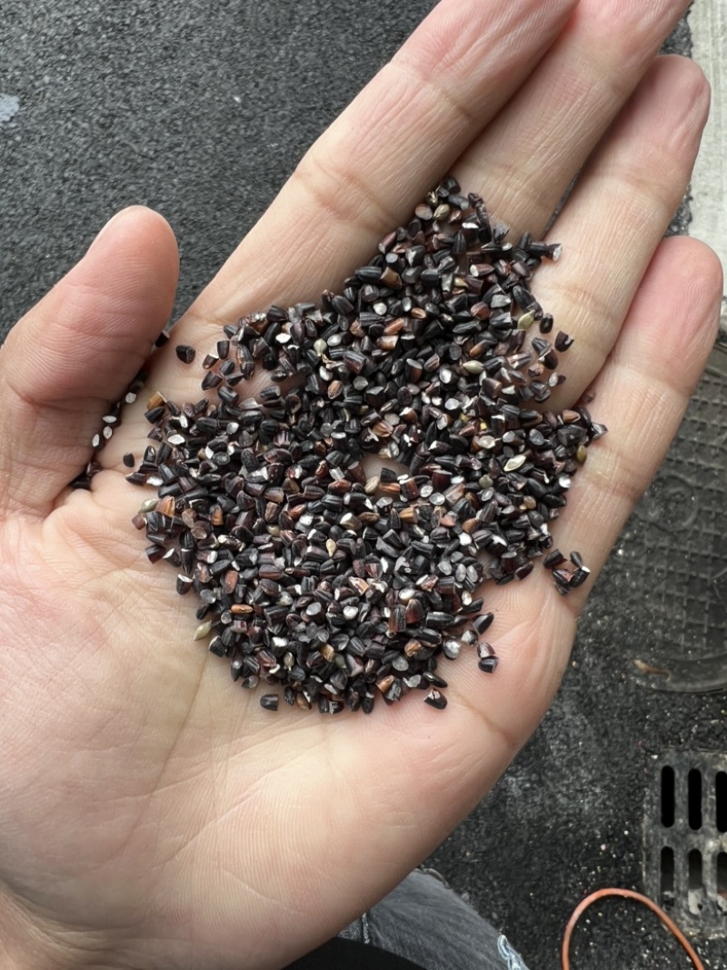 黑碎米现货供应黑米碎量大优惠食品加工酿酒黑米碎