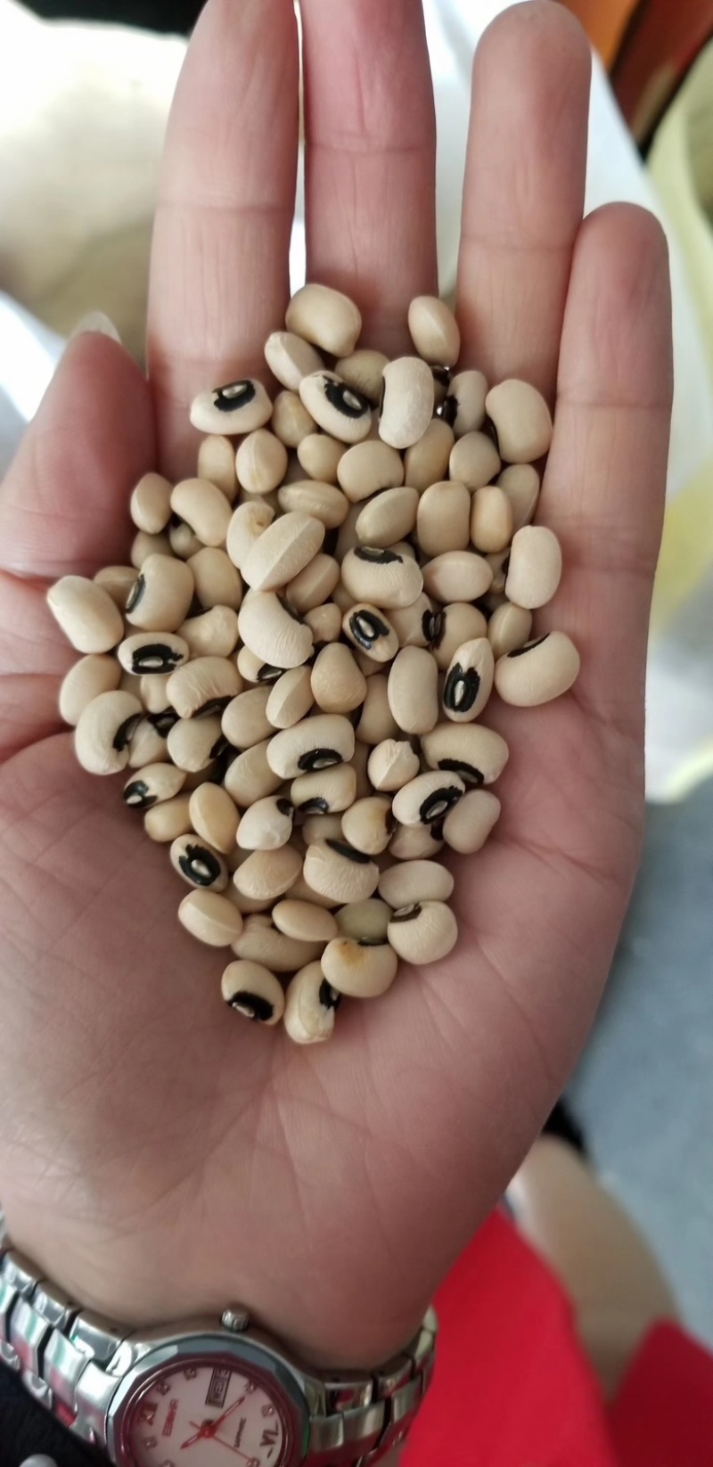 花豇豆白豇豆熬粥食品加工现货供应眉豆江豆