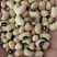 花豇豆白豇豆熬粥食品加工现货供应眉豆江豆