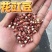 花豇豆白豇豆熬粥食品加工现货供应眉豆江豆