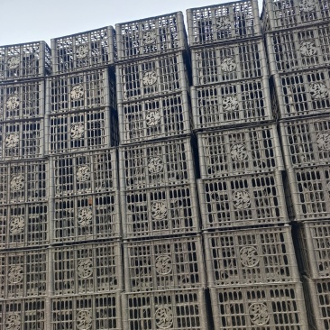 水果筐