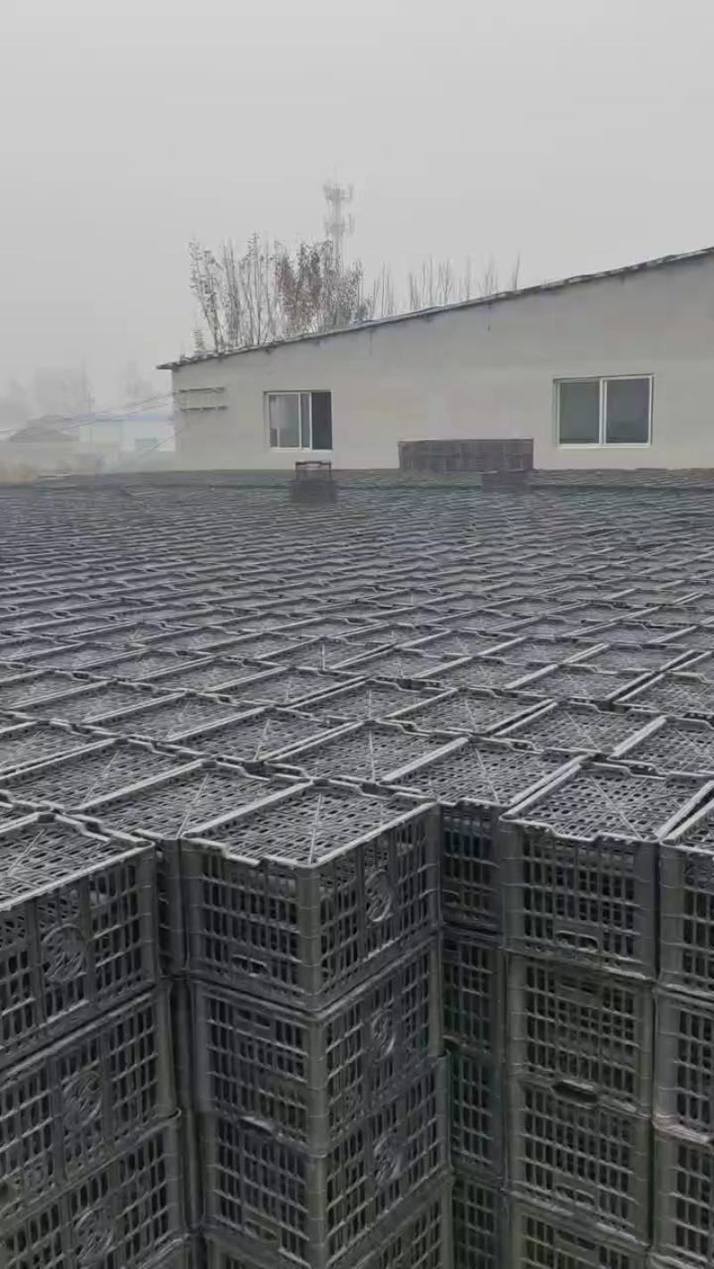 水果筐