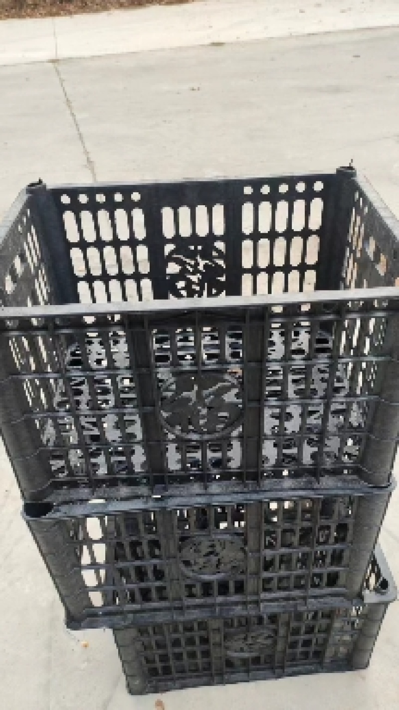 水果筐