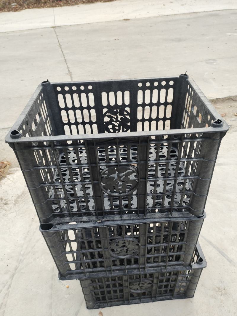 水果筐