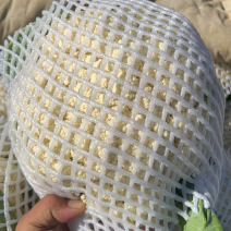 本地精品有机花大量上市，品质好价格合理有需要的联系我
