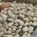 白芸豆大白豆云南特产保山特产