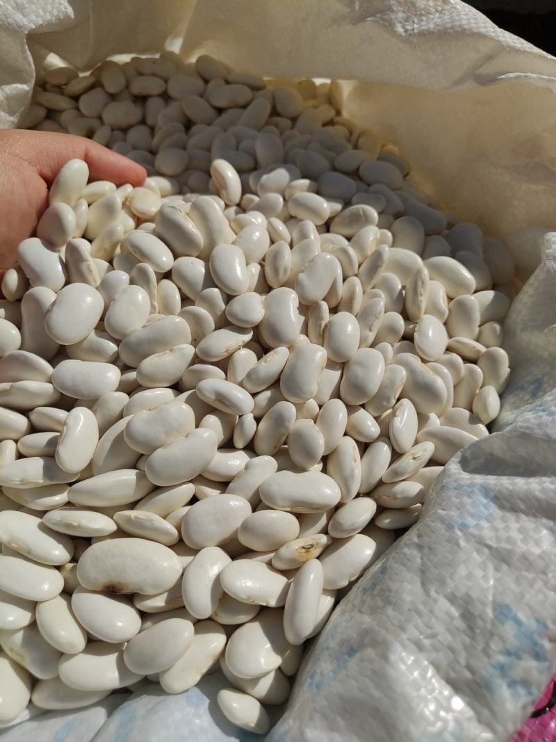 白芸豆大白豆云南特产保山特产