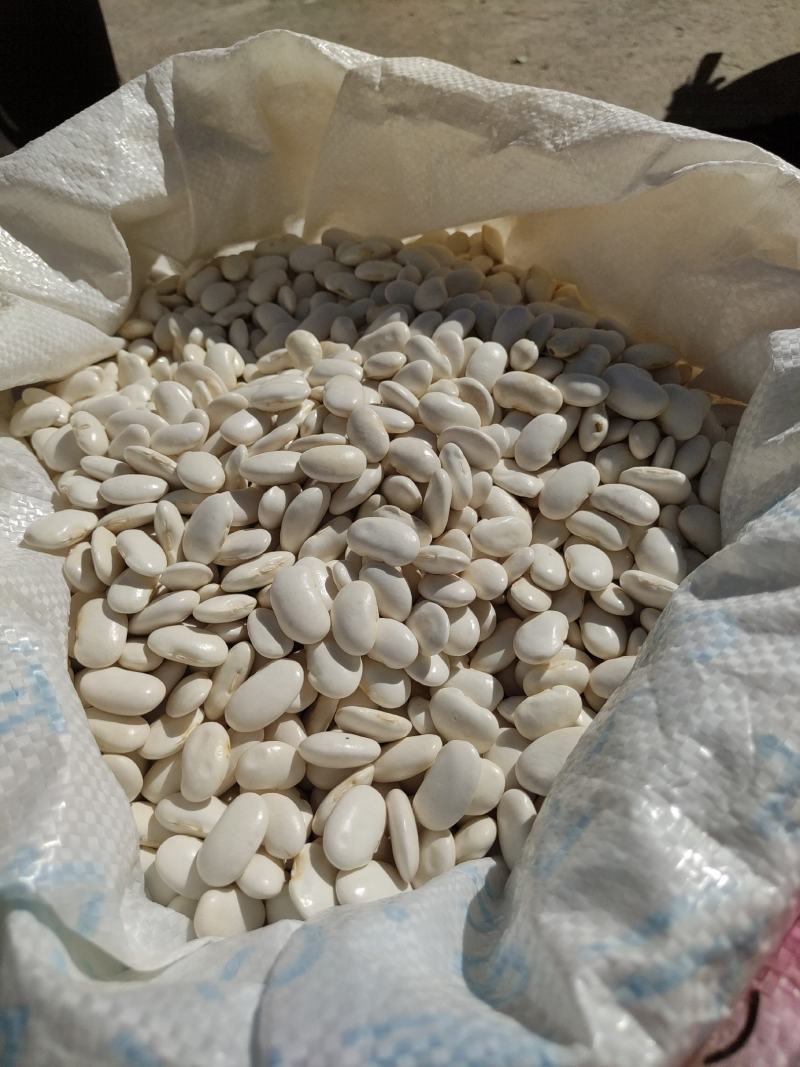 白芸豆大白豆云南特产保山特产