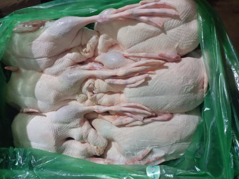 雁鹅，白条鹅，白条鸭。网红产品，厂家直销