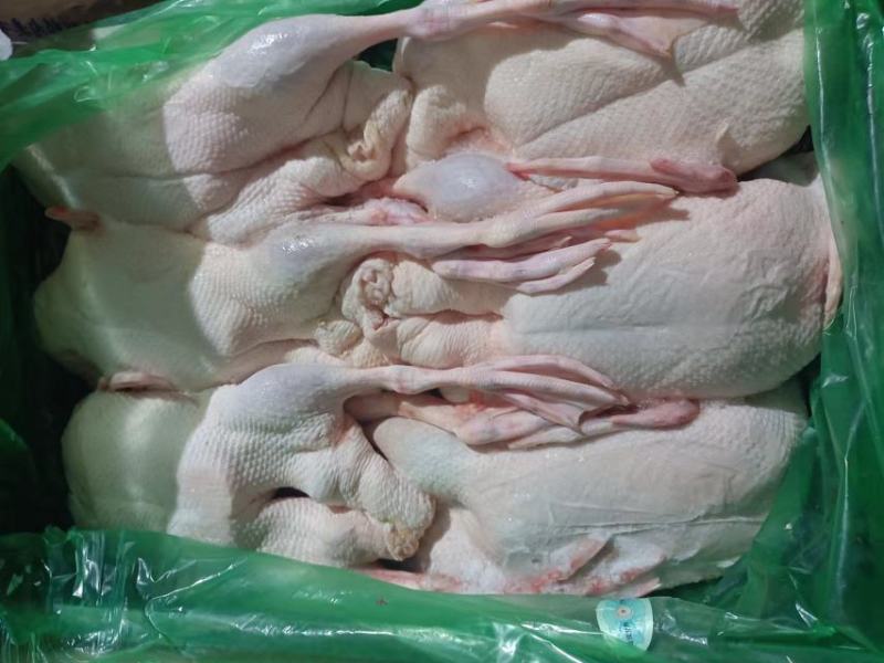 雁鹅，白条鹅，白条鸭。网红产品，厂家直销