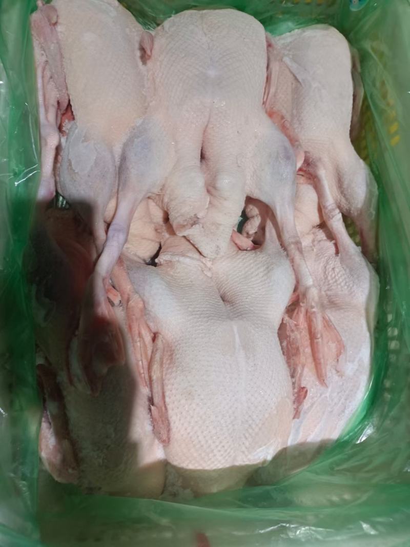 雁鹅，白条鹅，白条鸭。网红产品，厂家直销