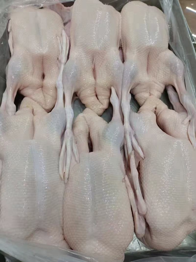 雁鹅，白条鹅，白条鸭。网红产品，厂家直销