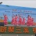 【基地直发【】爱媛一万斤出售，现摘现卖，快来吧！