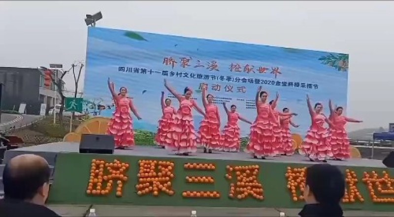 【基地直发【】爱媛一万斤出售，现摘现卖，快来吧！