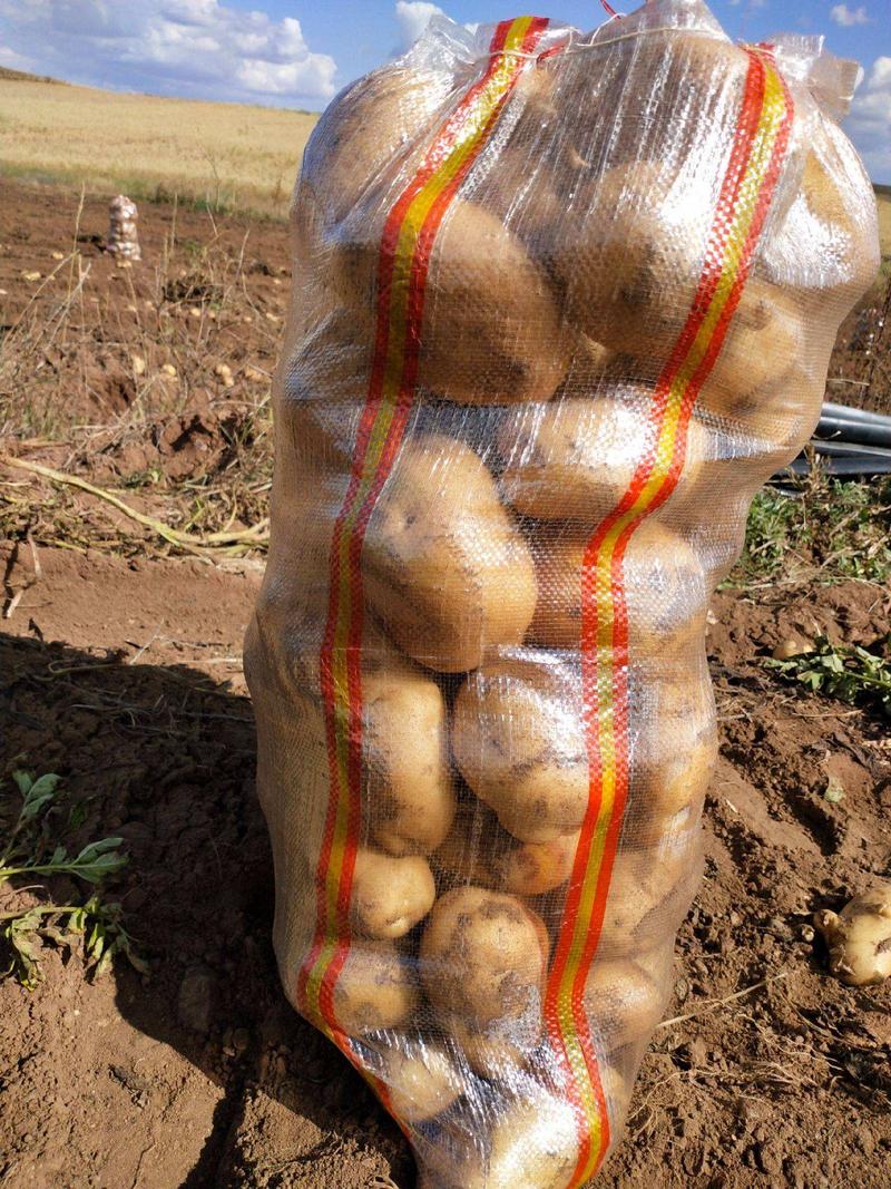 内蒙古雪川红土豆产地一手货源全国发货对接市场商超