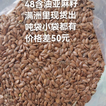 48含油亚麻籽