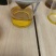 48含油亚麻籽