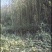 雲极岚荘生态茶园欢迎下单、欢迎品鉴