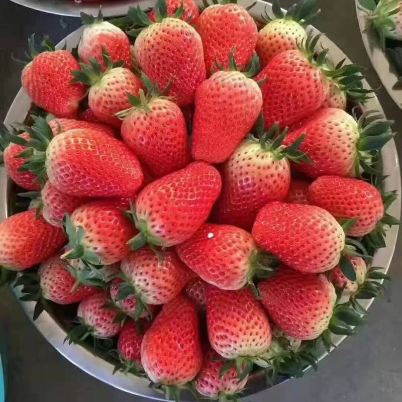 产地直供，甜宝，(章姬)天使8号