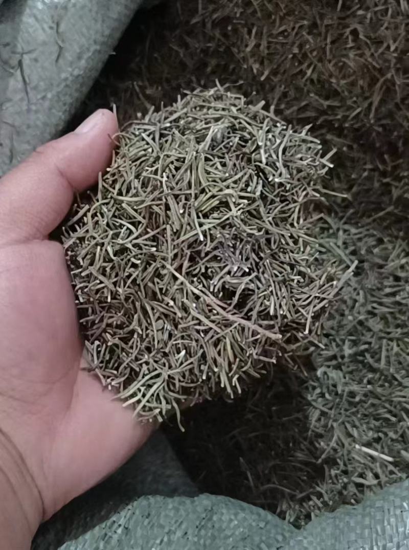 迷迭香干叶
