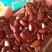 软枣种子，是嫁接柿树的沾木用的种子