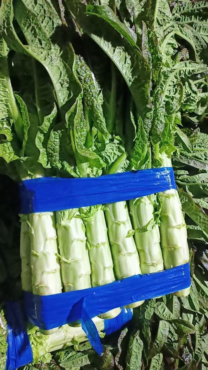 红叶莴苣，货源充足，产地大量供应，保质保量，诚信经营。