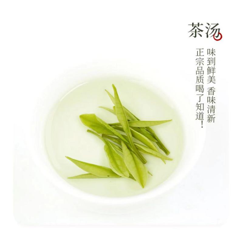 安吉白茶绿茶