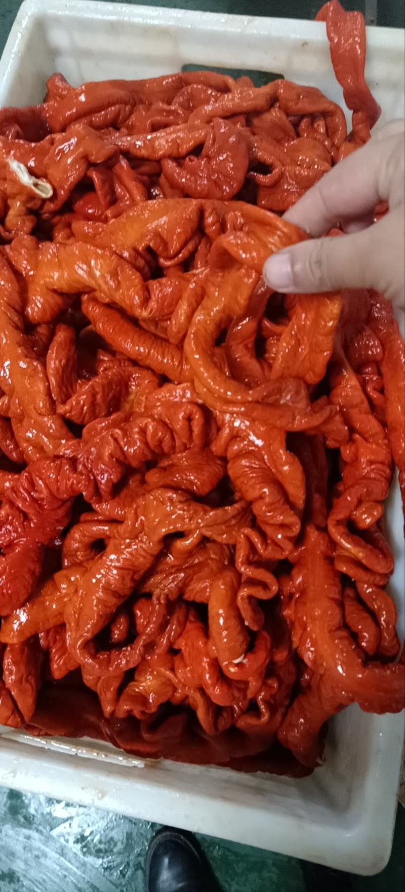 卤肥肠