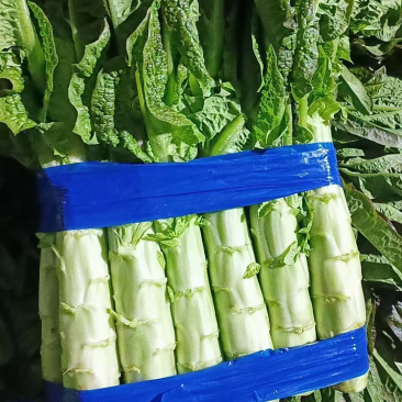 红叶莴苣，货源充足，产地大量供应，保质保量，诚信经营。