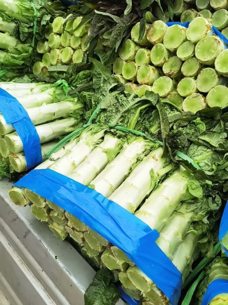 红叶莴苣，货源充足，产地大量供应，保质保量，诚信经营。