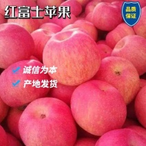 实力山东苹果红富士苹果，产地直发，一手货源，价格便宜
