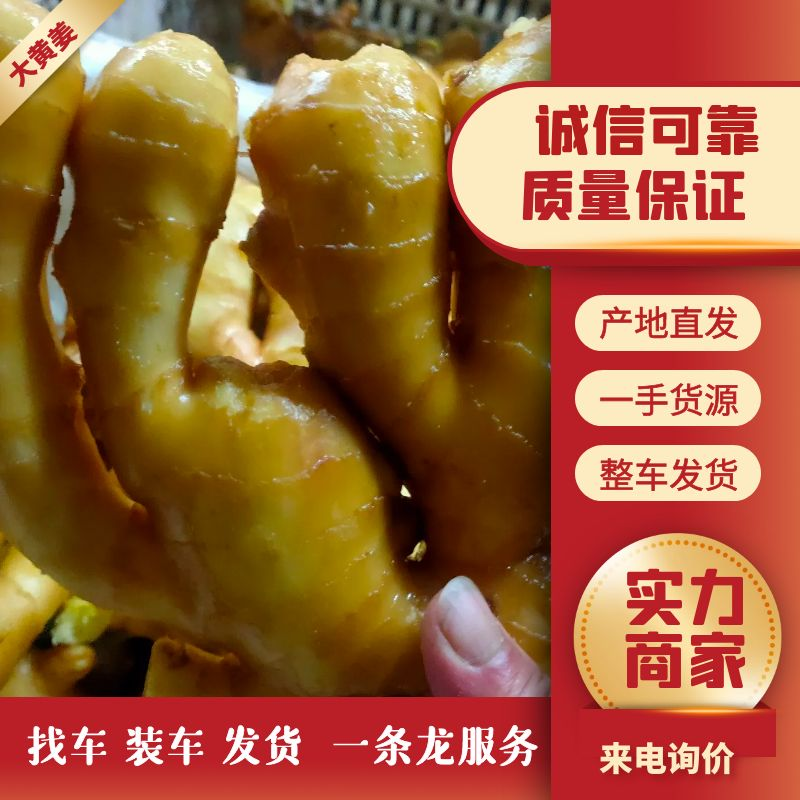山东生姜万亩生姜基地品种多样品质保证价格美丽！