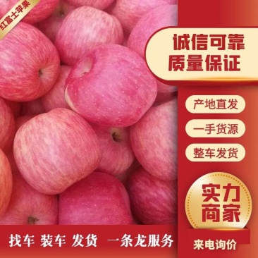 山东红富土苹果大量上市，一手货源，囗感脆甜，保质保量