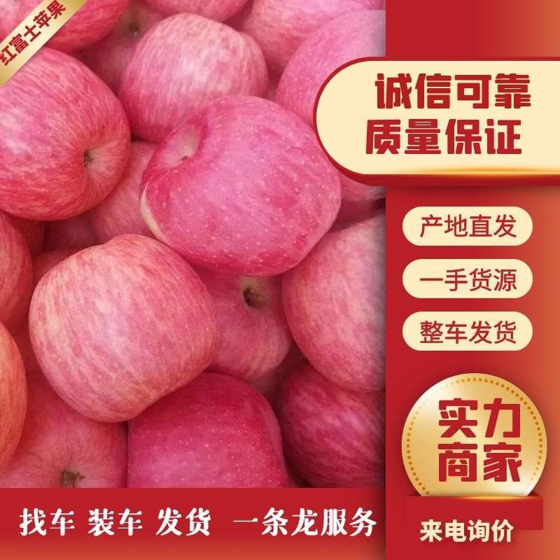 山东红富土苹果大量上市，一手货源，囗感脆甜，保质保量