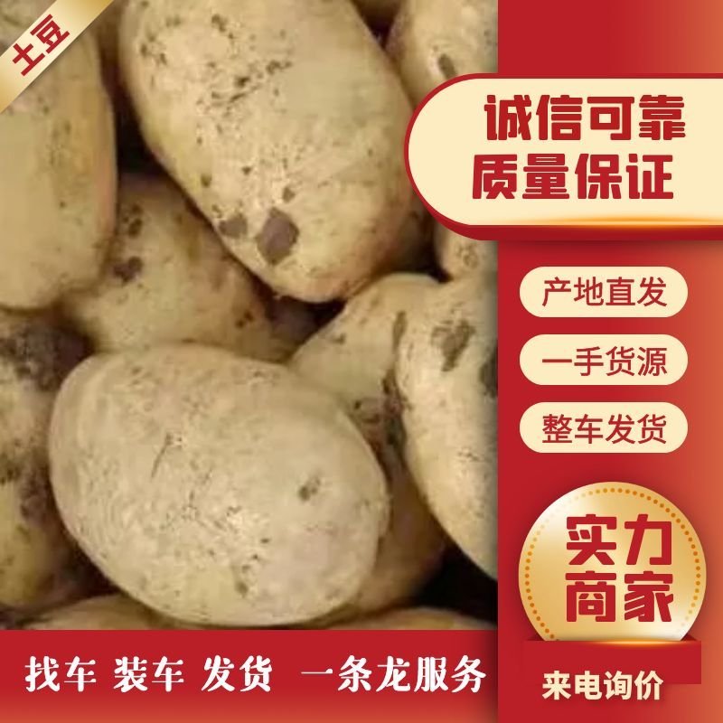山东土豆，荷兰十五土豆产地直销，袋装，箱装，