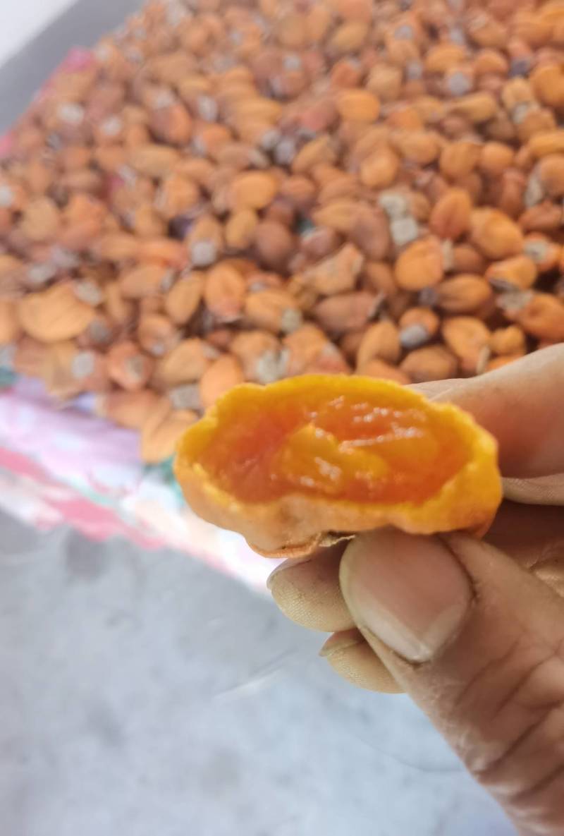 山东柿饼，临朐柿饼，自产自销，这是纯绿色无公害高山食品。
